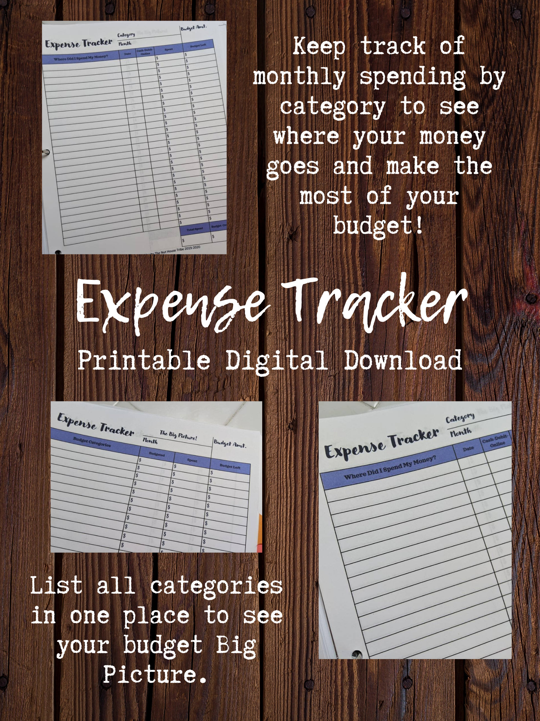 Expense Tracker - PLUS Bonus Big Picture Page